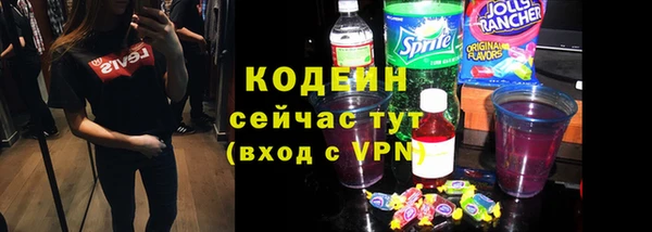 ГАЛЛЮЦИНОГЕННЫЕ ГРИБЫ Вяземский